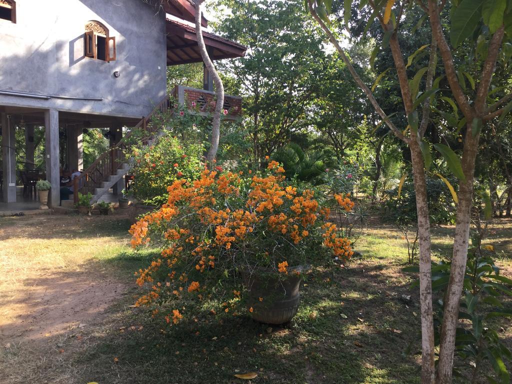 Tranquality Chalets แทนกาลเล ภายนอก รูปภาพ