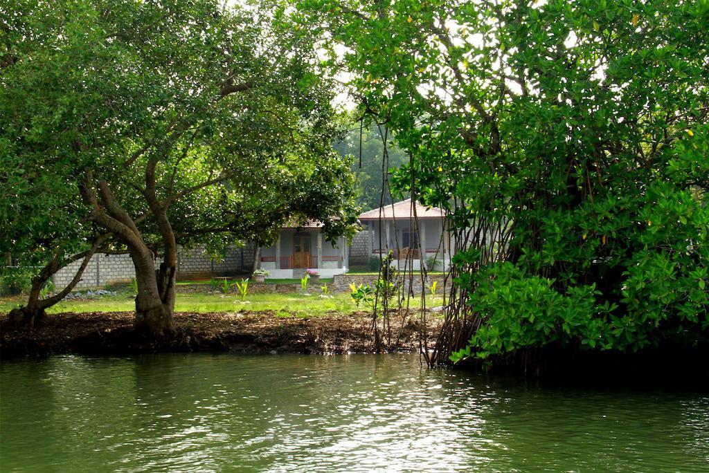 Tranquality Chalets แทนกาลเล ภายนอก รูปภาพ